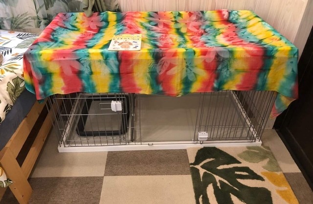 Container house in Kibogaoka Onna village You can also enjoy BBQ and golf practice 2 free parking / Kunigami-gun Okinawa