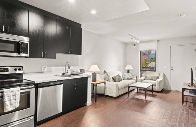 Contemporary large 1BR, in unit Washer/Dryer, FREE parking with all amenities!