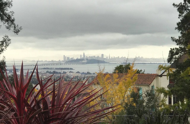 Casa histórica cerca de la Universidad de California, en vistas de la bahía