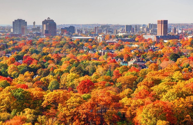 Cos Cob Flat - Clean, centrally located, dining, shopping close to transit