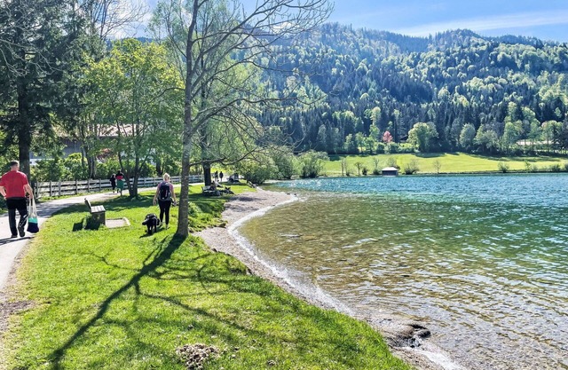 Hermoso apartamento en villa para 5 personas con A/C, TV, terraza y mascotas permitida