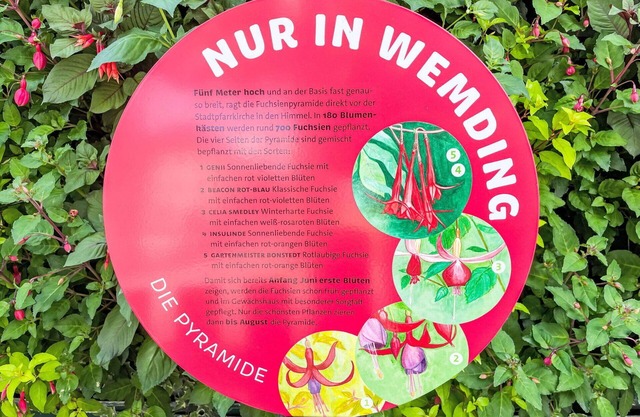 Precioso apartamento en villa para 4 personas con WIFI, A/C, TV, terraza y mascotas permitida