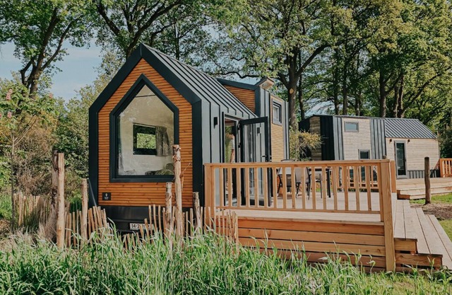 Cosy Tiny House for 2 guests with sleeping loft, skylight and veranda in the Sallandse Heuvelrug.