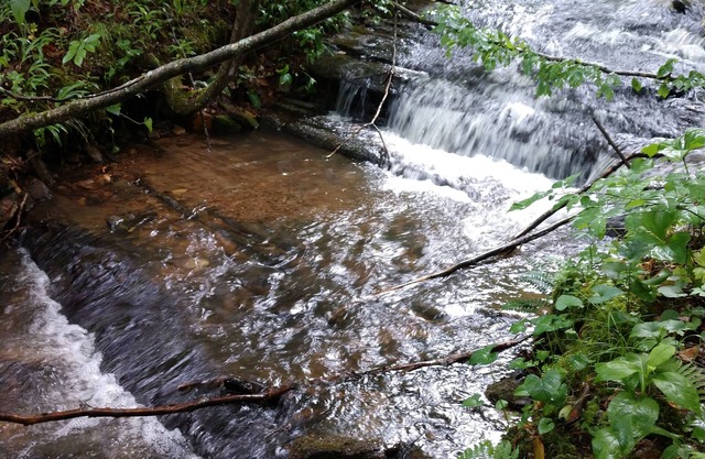 Cabaña Roja en 300 Acres-Wild Rose Suite-Nostalgic Nature Retreat