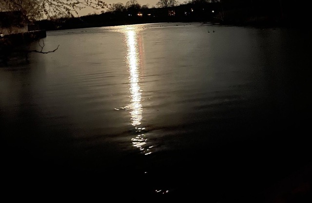 Romantic Cottage on the Water. 5 minute walk to food, music, & shopping.