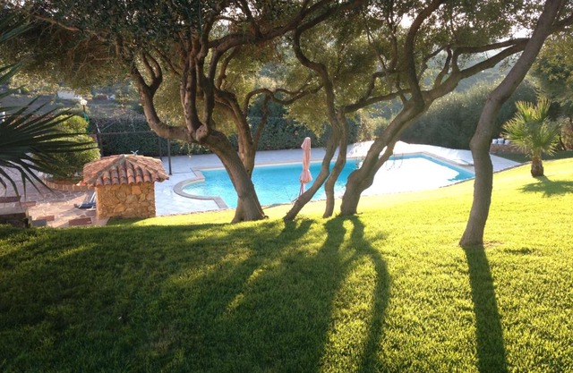 Country Domos Tramentu