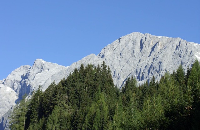 Apartamento acogedor y tranquilo con vista soñada
