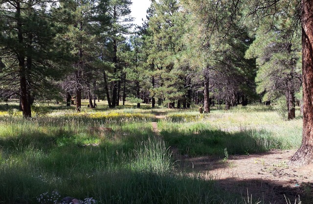 Acogedor y confortable en el Bosque