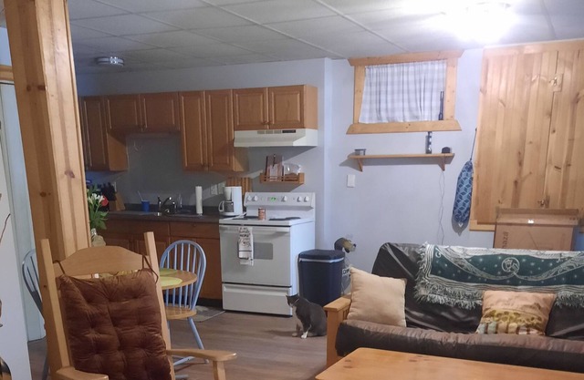 Cozy apartment located 1/2 mile from Harvey's Lake. Beach membership included