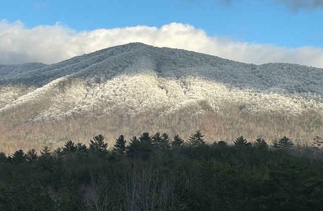 Cozy cabin with a million dollar view of the Cherokee Mountains