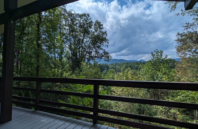 Cozy Cottage, minutes to Hot Springs. Pet Friendly!