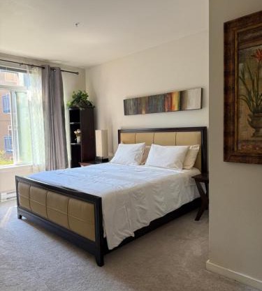 Cozy home nearby most attractions Seattle center