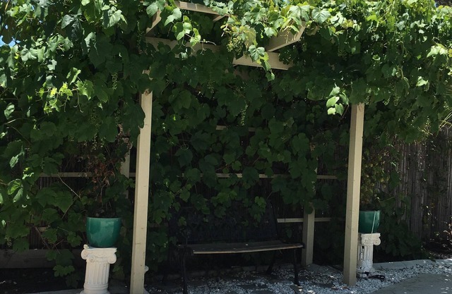 Casa acogedora, patio trasero enorme, corazón de Temecula