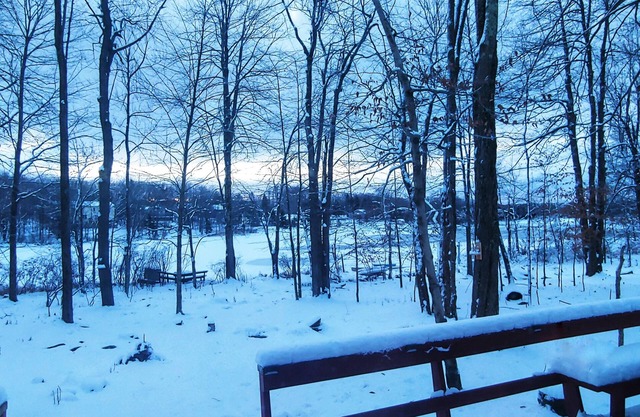 Acogedor chalet frente al lago cerca de Camelback! Ven a disfrutar del lago o la nieve.