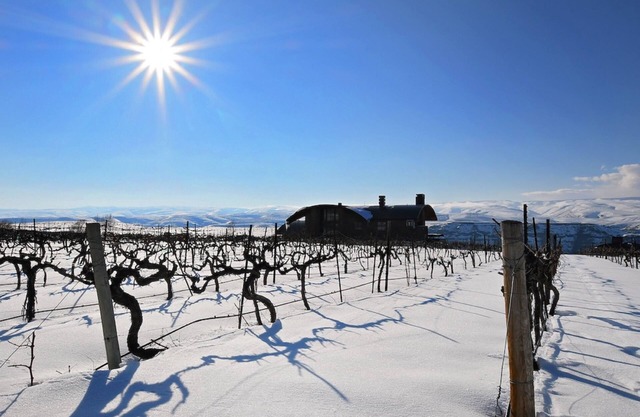 Acogedora y moderna casa con patio, hoguera - a pie de Cave B & Gorge Amphitheater