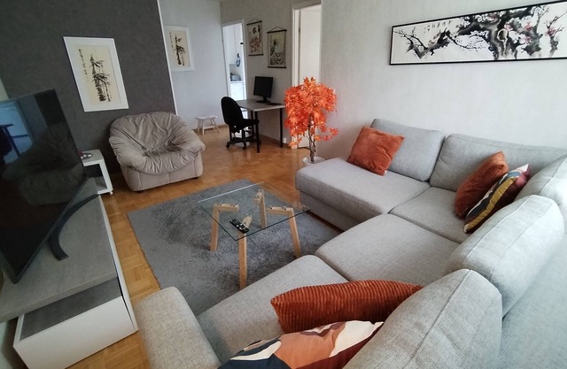 Cozy spacious apartment with free parking slot near Salo center