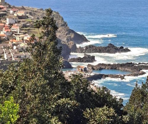 Cozy Studio - Chalé Seixal