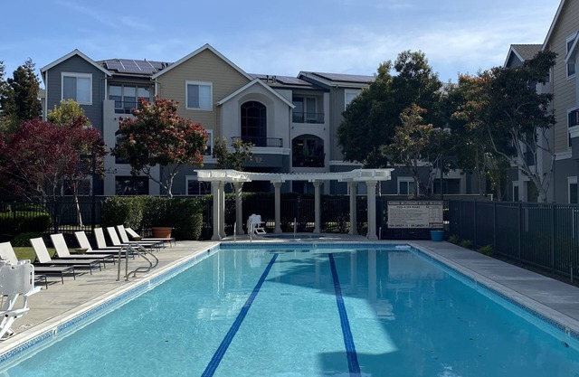 Cozy Studui Apartment