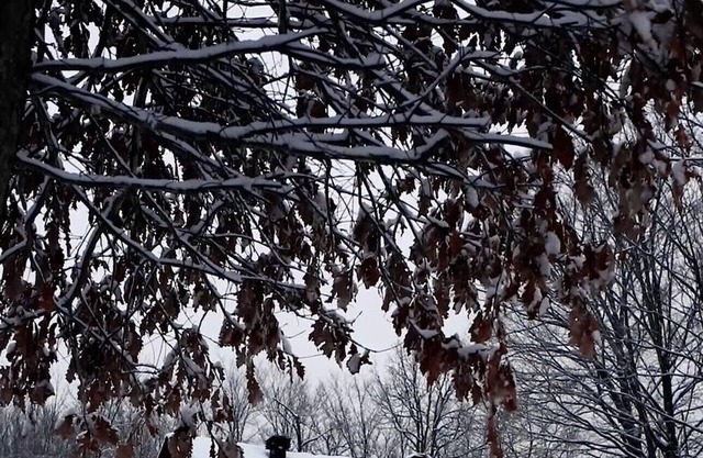 Cozy up at this stunning and peaceful waterfront cottage <1.5hrs from GTA!