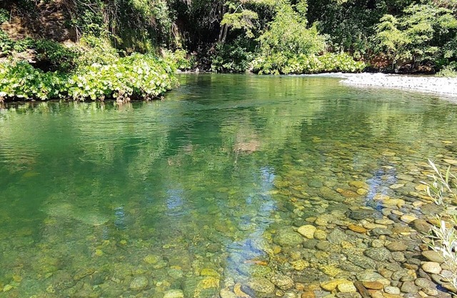 Creekfront 3-bedroom house with WiFi, AC in Happy Camp
