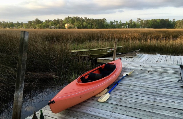 Creekside by the marsh