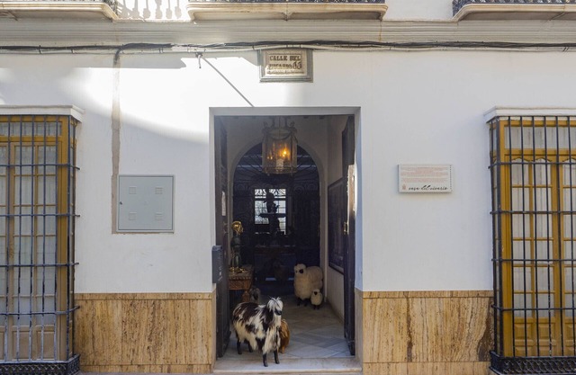 Cubo's Valame Coin House Town Center / urbano / pet friendly / wifi gratis
