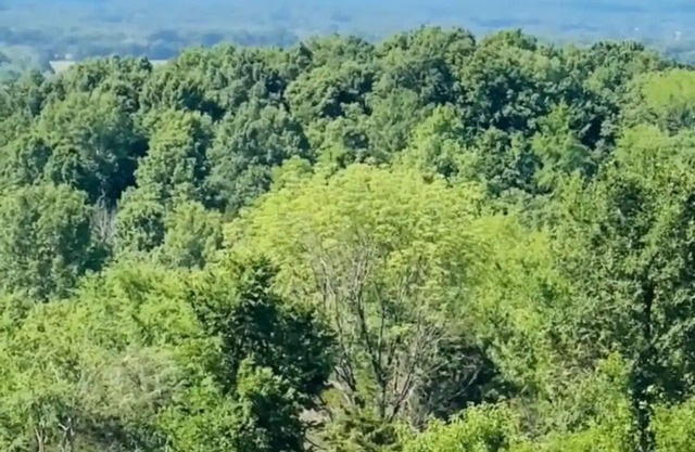 Custom log home on top of the world. Situated on 147 acres.