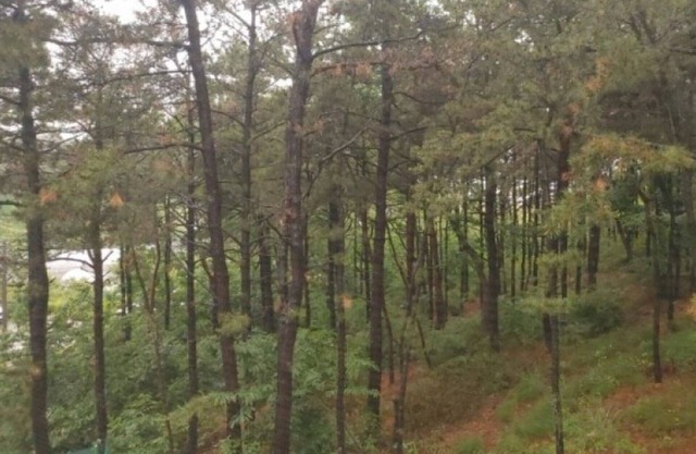 Daebudo Poseidon A Pension