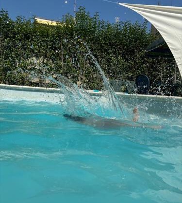 Dante alighieri rooms