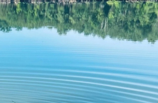 DearBear Landing in the Smokies - Lakefront - Fish-Kayak - near Dollywood !