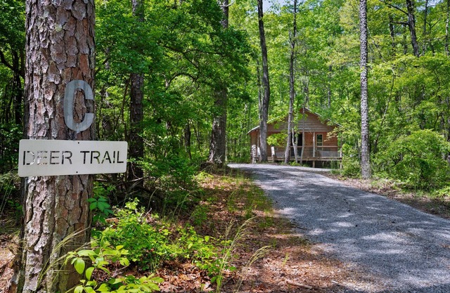 Deer Trail-getaway to the woods w/hot tub & fire pit