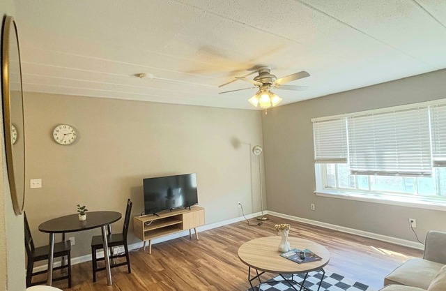 Delightful apartment in Central Minneapolis-Long Term Stay!