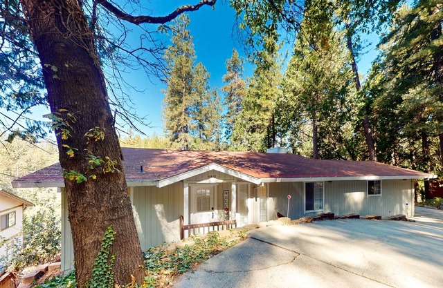 Delightful wooded oasis with balcony, AC, W/D, & wonderful views of wildlife