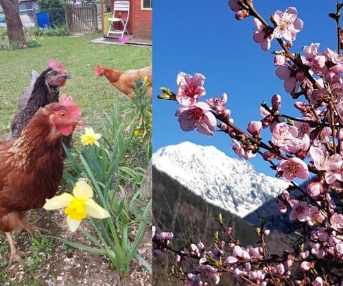 DETENTE NATURE rando, ski , thermes