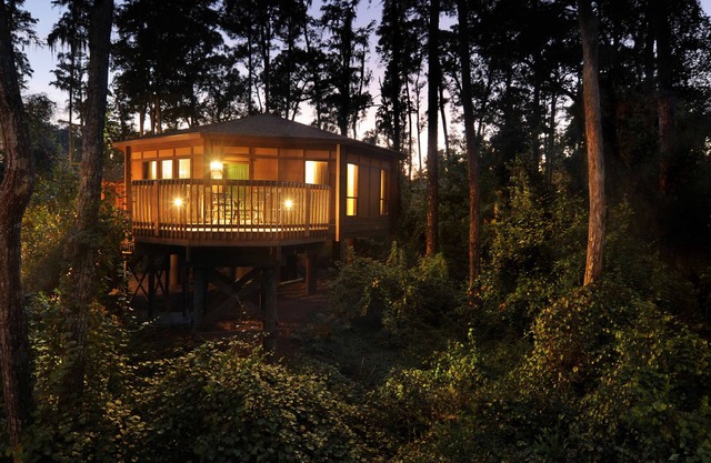 Disney's Saratoga Springs Resort & Spa