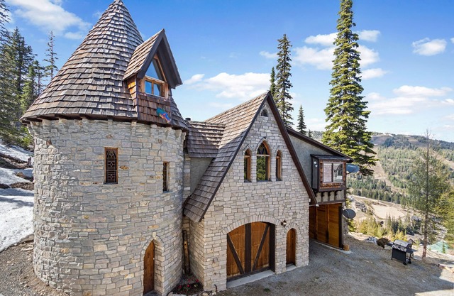 Dog-friendly mountain castle with a washer/dryer, private hot tub, & fireplace