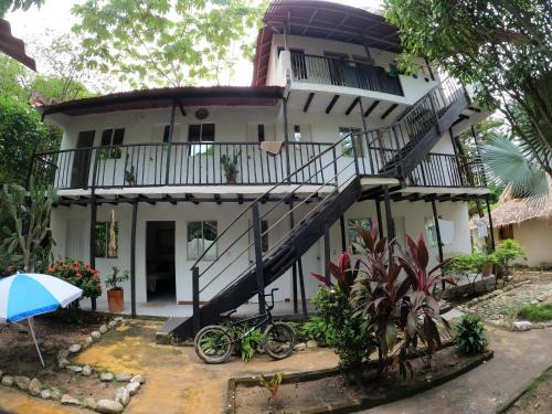 Dogsheltercafepalomino