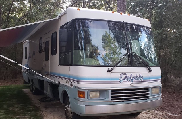 Dolphin RV Getaway