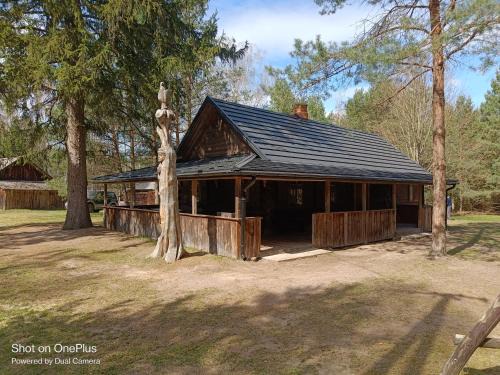 Domek w lesie, nocleg na Lubelszczyźnie