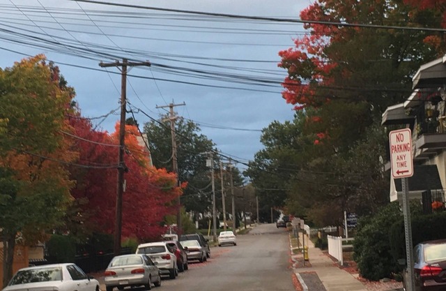Treetop Downtown Westboro 1/1 Condo Nest