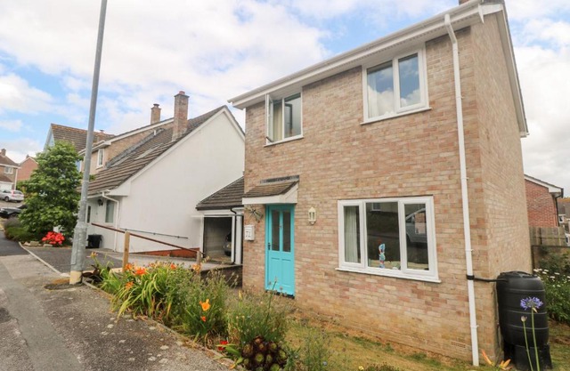 Dragonflies & Seahorses