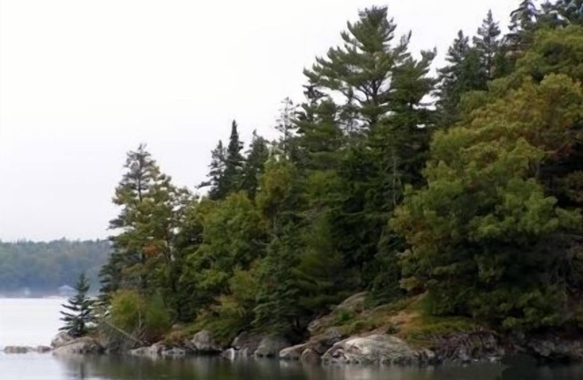 Libélula maderas Apartamento Luminoso apartamento eficiencia ventilado ubicado en el bosque