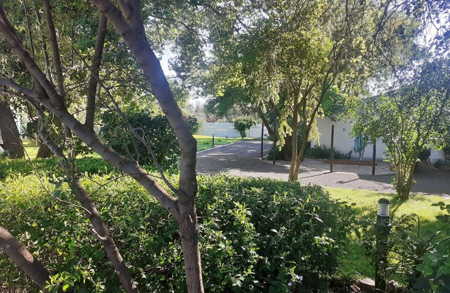 Driftwood Boutique Bed and Breakfast