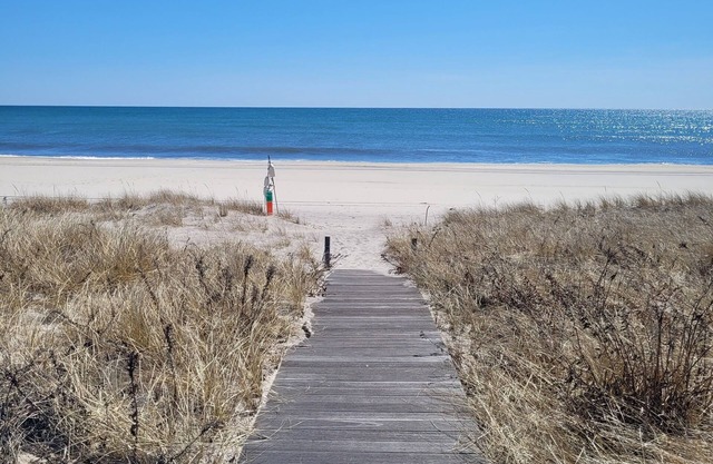Dune Rd: Disfrute y entretenimiento frente al mar desde la bahía hasta el océano
