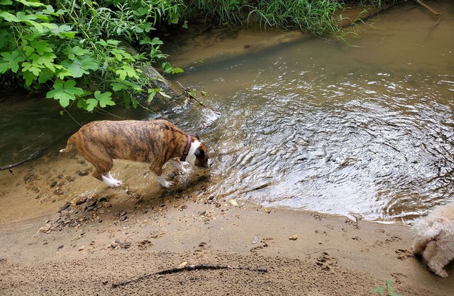 Eagle's Nest by Table Rock. Perfect for Hickers, Cyclers, and Swimmers.