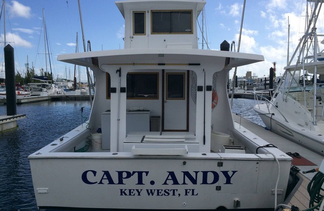 Eddie Griffiths Alquiler de noche y alquileres de vacaciones !!!!!