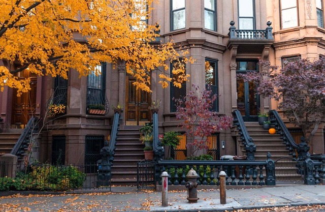 Elysian is conveniently located in University Circle, overlooking MLK Park.