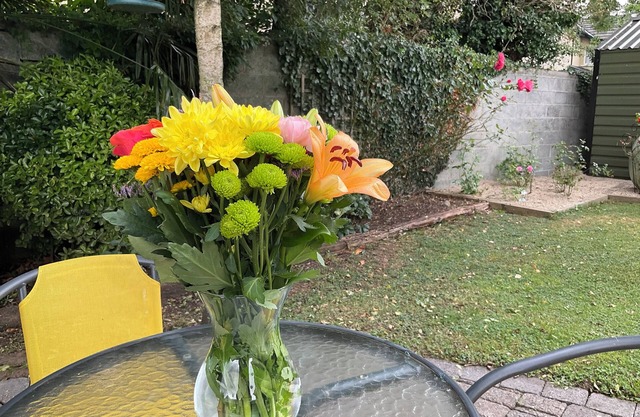 Enchanting 3-bedroom bungalow in Clane