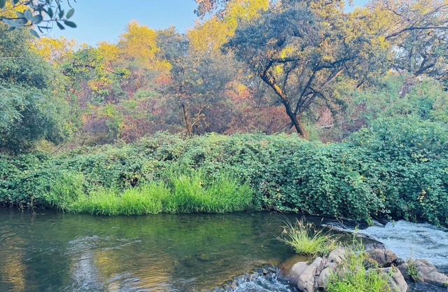 Enjoy the Fall colors, River views, Festivals & Hot Tub! On the Wine/Beer trail.