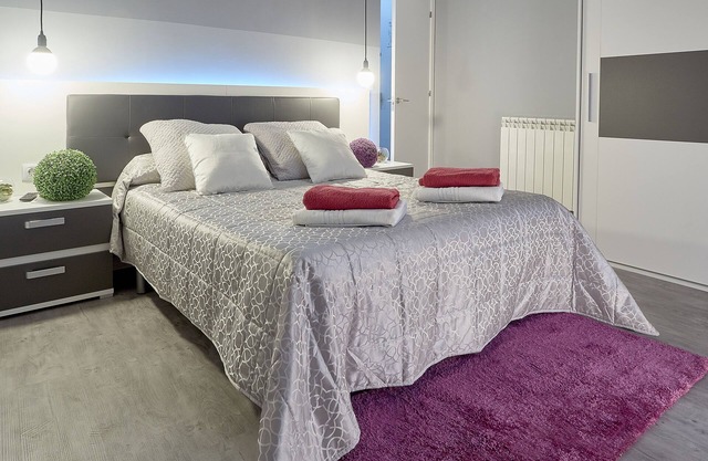 Apartamento en el centro de León para 2-4 personas con Garaje y conexión WIFI.